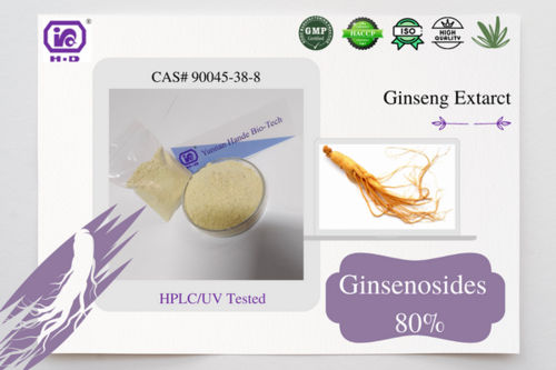 Ginseng Extract Ginsenosides 10%-80% Cas 90045-38-8 Herbal Extract