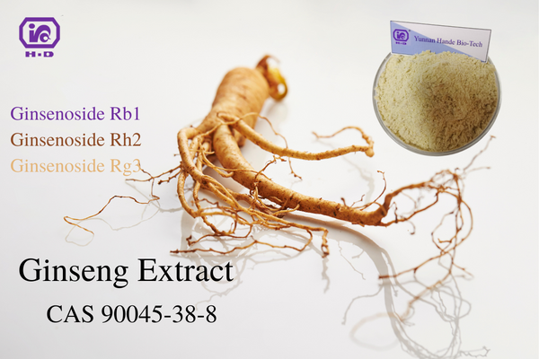 Ginseng Extract Ginsenosides 10%-80% Cas 90045-38-8 Herbal Extract