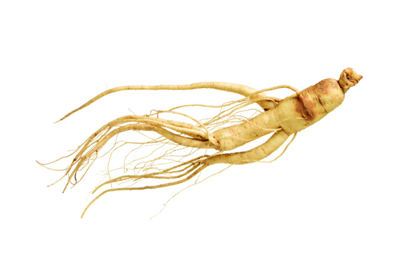 Ginseng Extract Ginsenosides 10%-80% Cas 90045-38-8 Herbal Extract