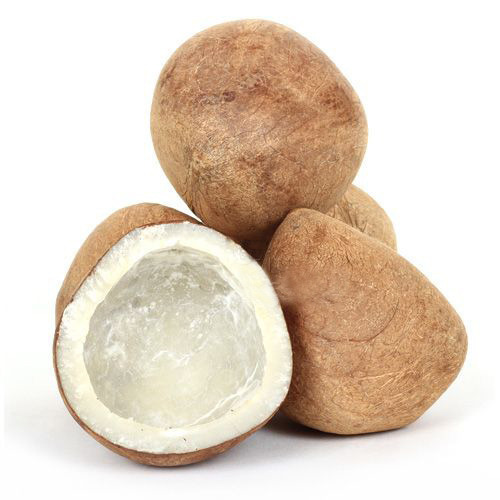 भूरा सूखा परिपक्व नारियल