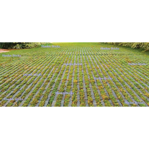 Art Line Grass Paver Block - Cement Material, 120mm Thickness , Grey Color, Manual Installation For Durable Outdoor Surfaces