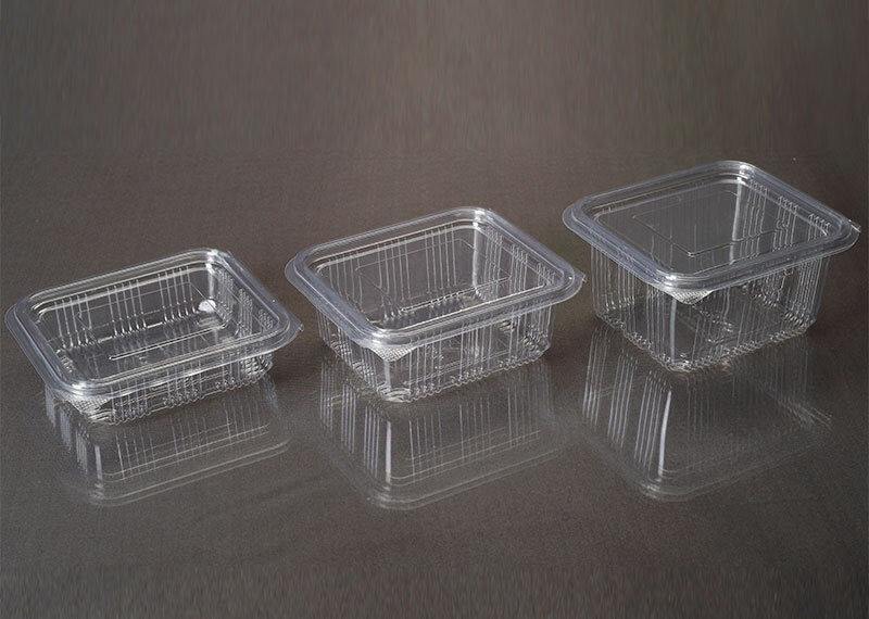 Transparent Rectangle Hinged  Container