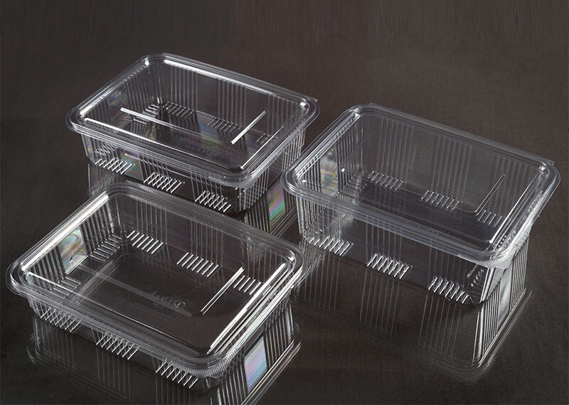 Transparent Rectangle Hinged  Container