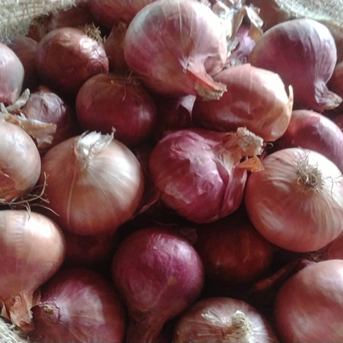 टुकड़े ताजा लाल प्याज