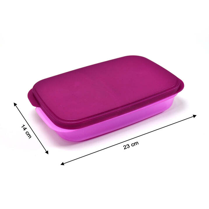 2453 Lunch Box - Food Grade Plastic, Standard Size, Pink | Unbreakable, Bpa-free, Dishwasher Safe, 2 Containers With Spoon, Leak Proof And Eco-friendly