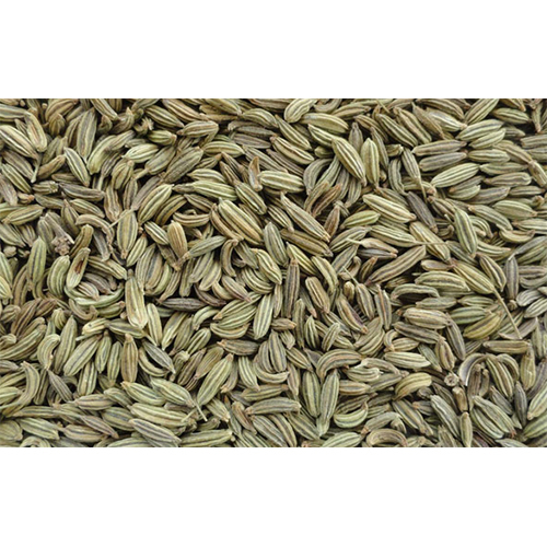 Fennel Seed - Dried, Quality Assured Freshness | Safe to Eat, Flavorsome, Varied Packaging Options