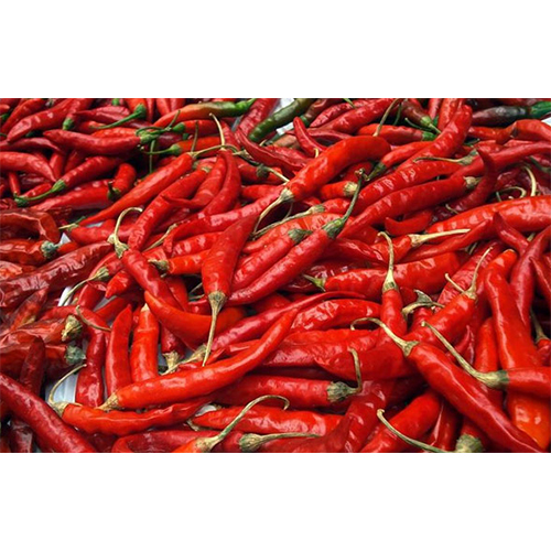 Red Chilli Storage: Dry Place