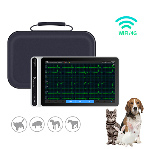 Plastic Electrocardiograph Ecg Machine