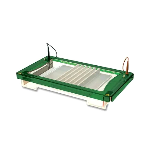 Green-white Horizontal Electrophoresis Unit