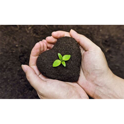 Organic Fertilizer Grade: Agriculture Grade