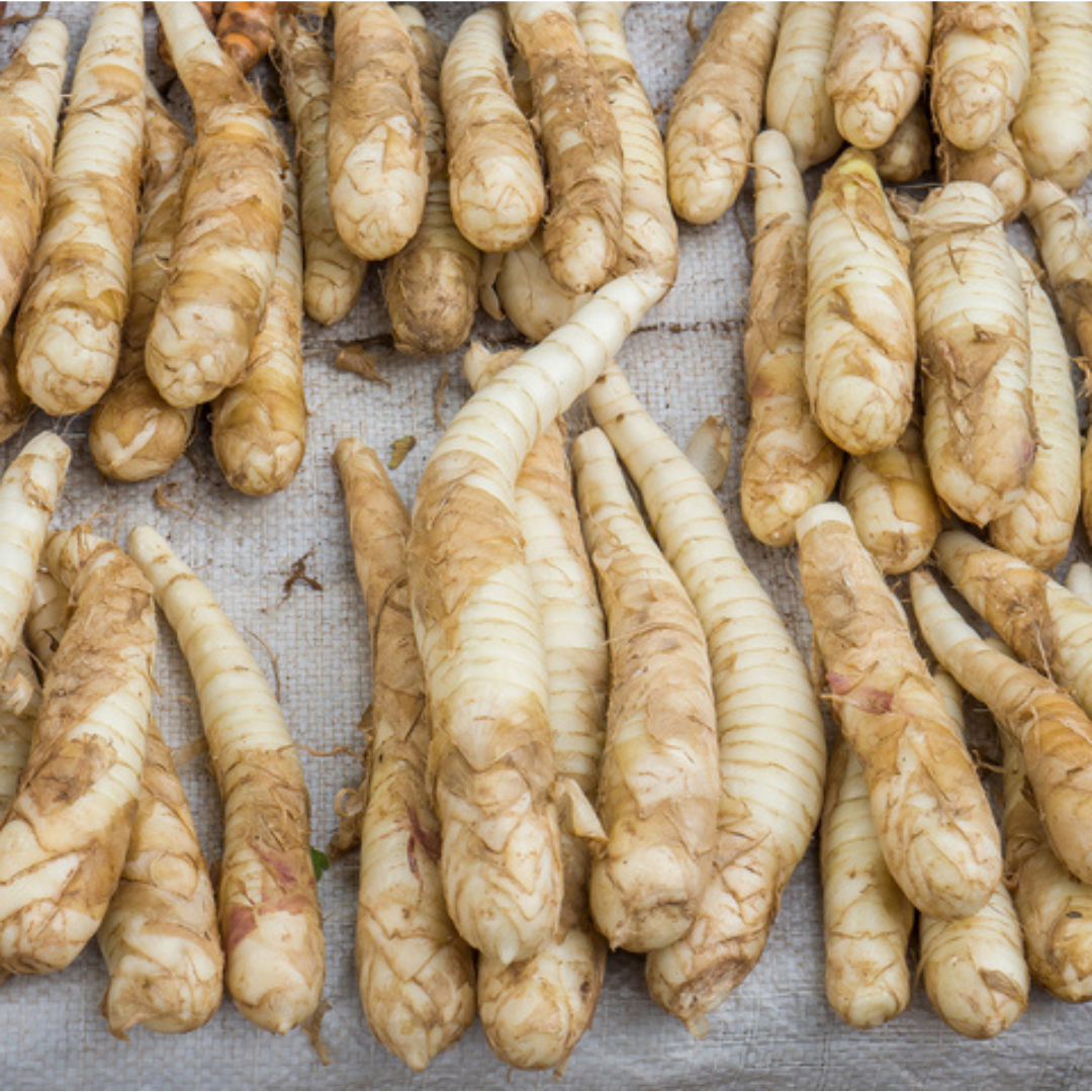 Arrow Root Extract (Maranta Arundinacea) - Color: Green