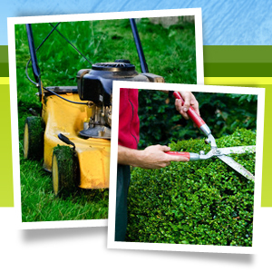 बागवानी रखरखाव सेवाएं