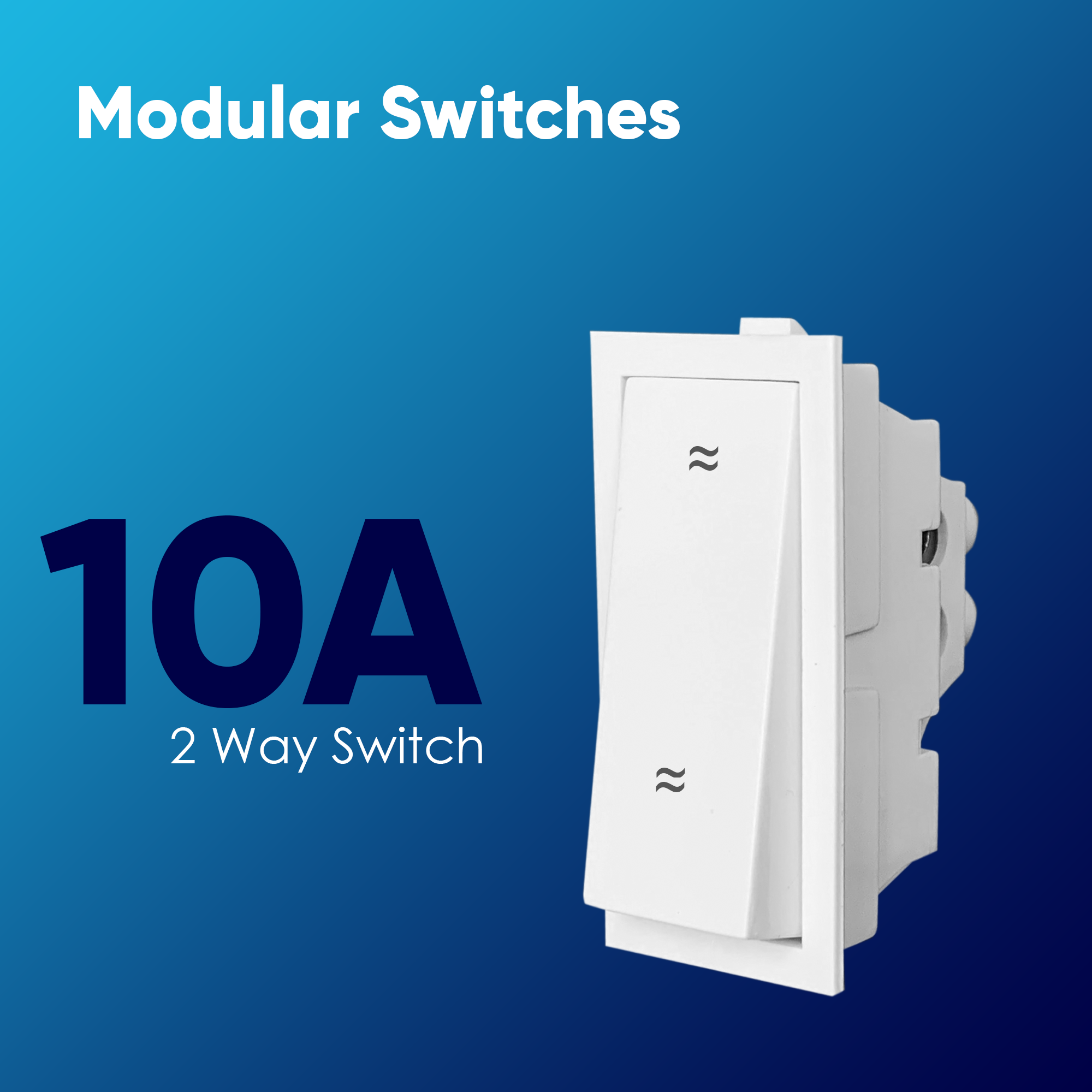 Brass And Polycarbonate 6a 1 Way Switch