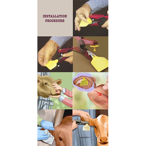 Safcon Visual Ear Tags - Sturdy Plastic Material, Yellow Color , Customizable Identification For Cows, Buffalos, Goats, And Sheep