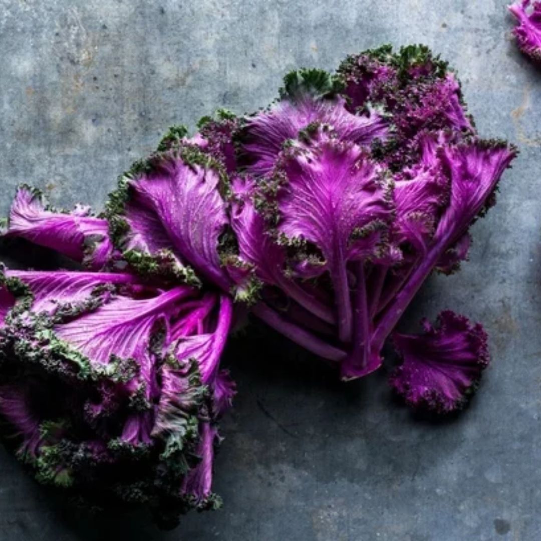 Anthocyanin Powder - Color: Red