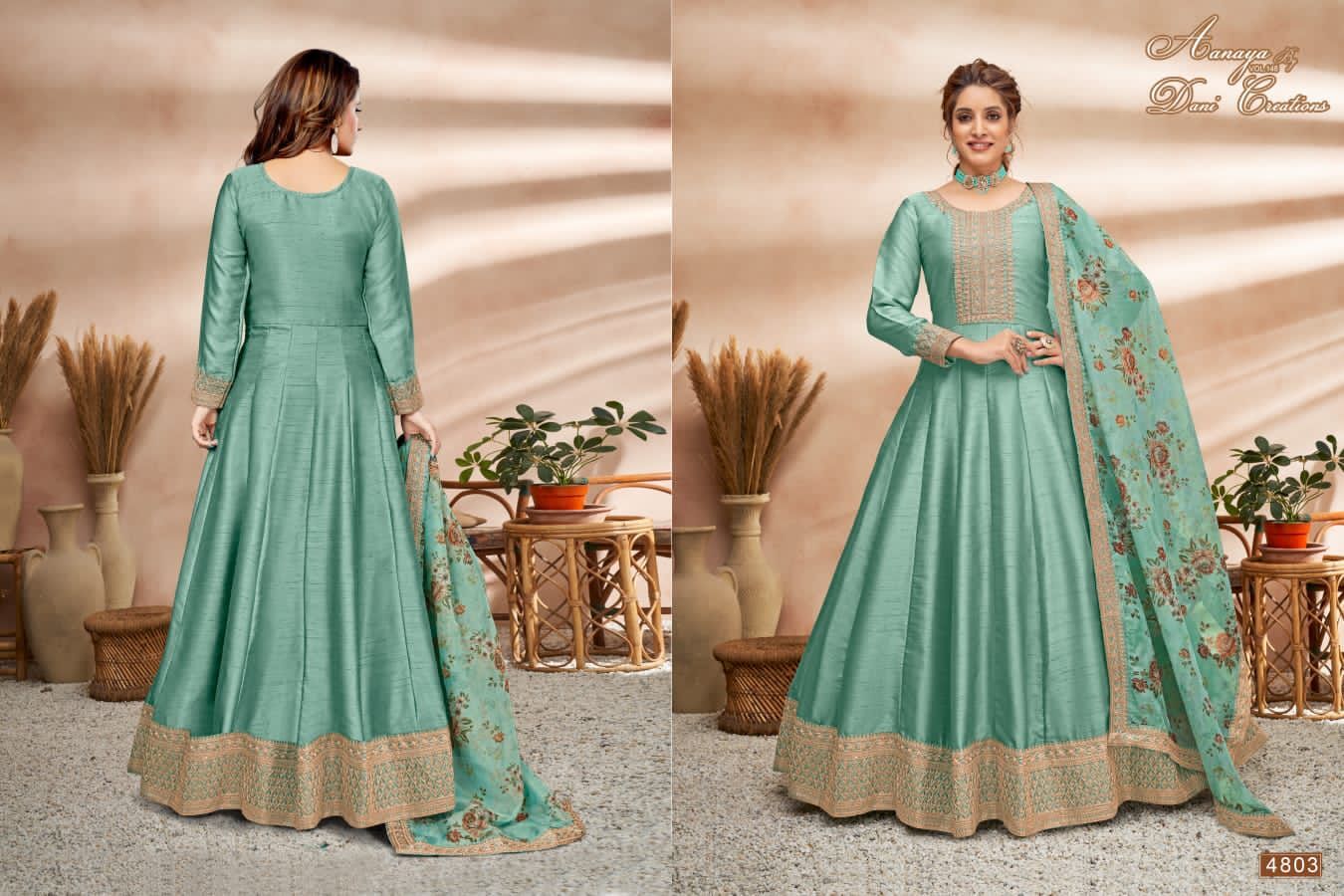Party Wear Gown