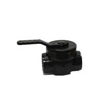 ब्लैक प्लास्टिक बॉल वाल्व