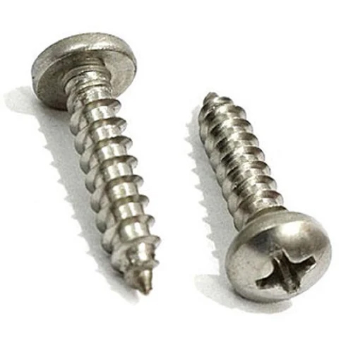 Ss Pan Phillips Screw - Finish: Polished
