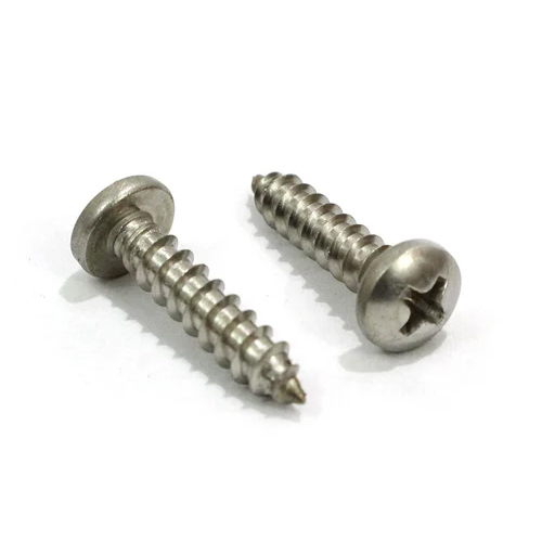 Ss Pan Phillips Screw - Finish: Polished