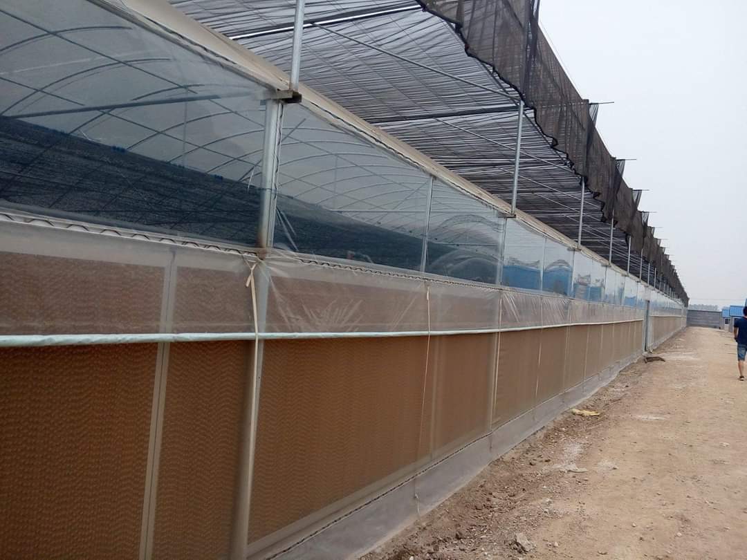 Brown And Green Brown Evaporative Cooling Pad Size 1200mmx600mmx100mm