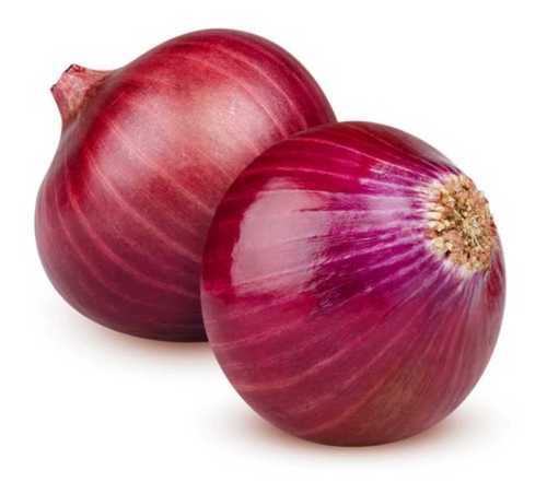 लाल प्याज