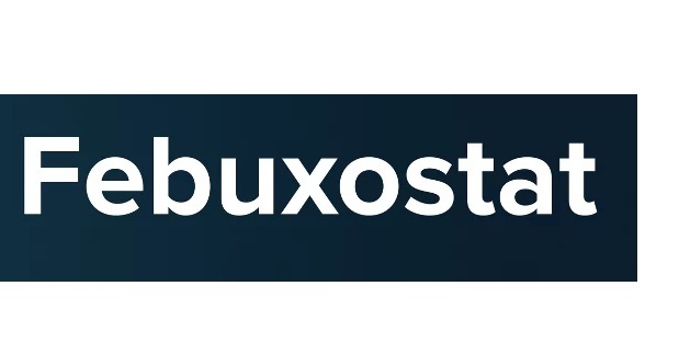 Febuxostat Ih - Boiling Point: Not Applicable (Decomposes Before Boiling)