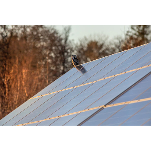 Black-White Mono Crystaline Solar Panel
