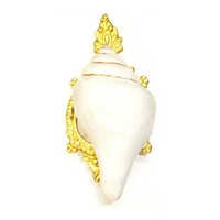 सुंदर शंख शैल