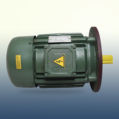 Standard Vertical Motor Phase: Double Phase