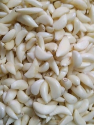 गोल ताजा छिलके वाला लहसुन