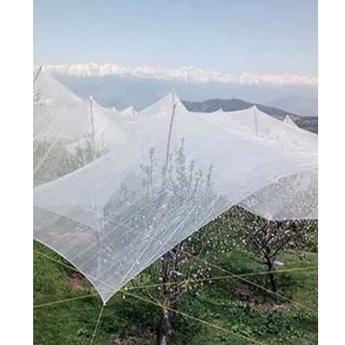 50 मीटर HDPE प्लास्टिक एंटी हैल नेट