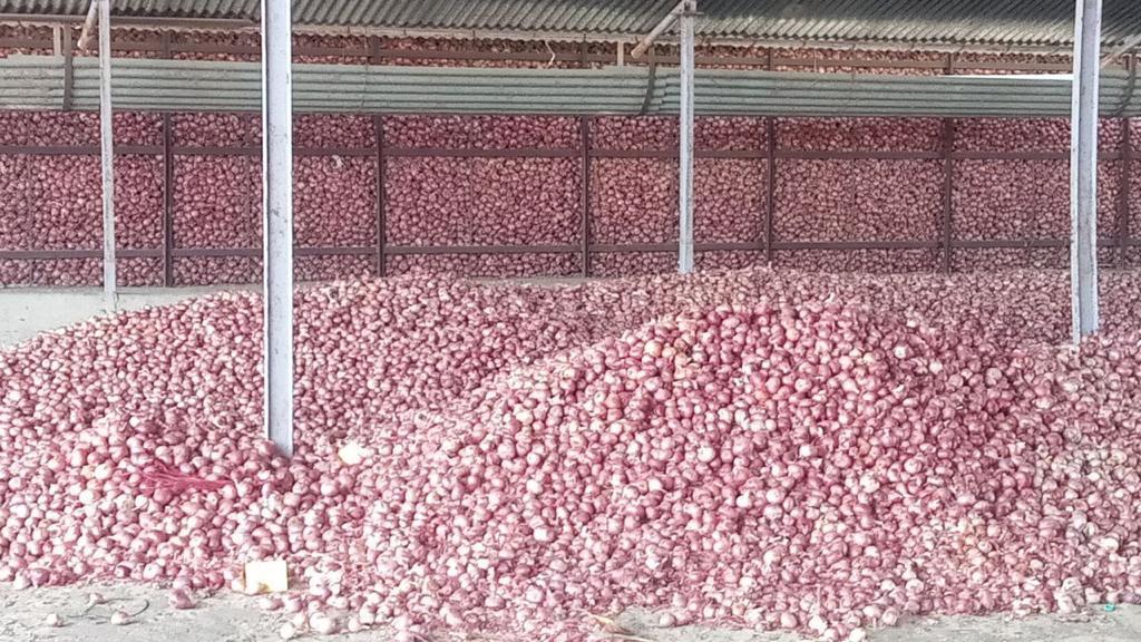 Red Onion - Natural Raw, Preserved Moisture | Antioxidant-rich, Immune-boosting, Versatile Slicing, Topping, And Salad Addition