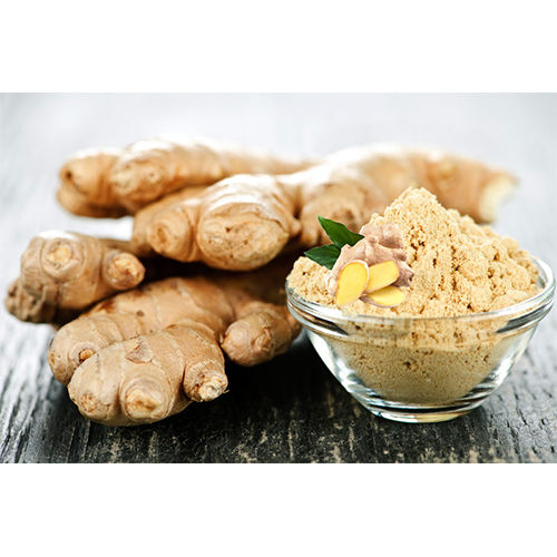 Dried Dehydrated Ginger Powder