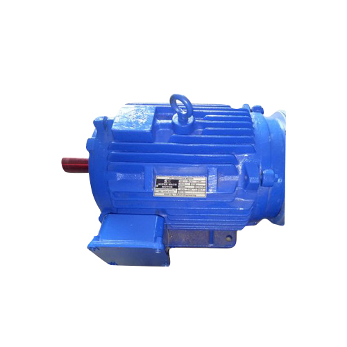 Blue Foot Mounted Induction Motor