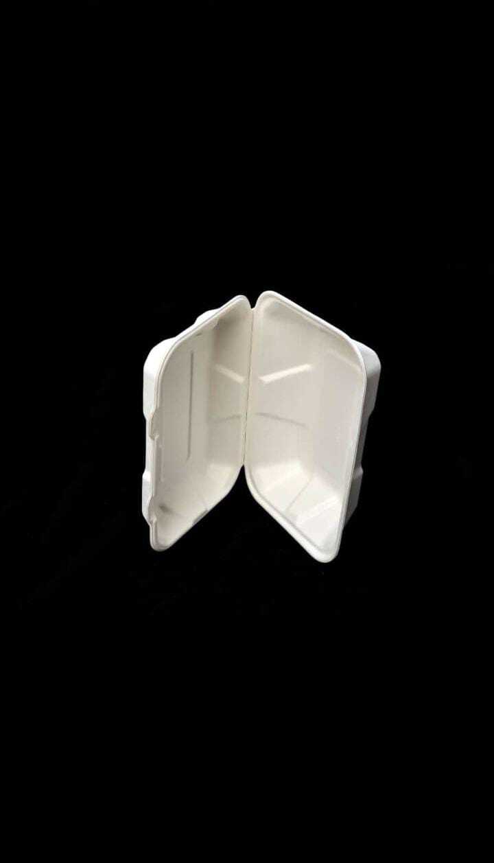 Disposable Food Packaging Box Bagasse - 9x6 Inches, White Color , Eco-friendly And Lightweight Design For Safe Food Serving And Protection