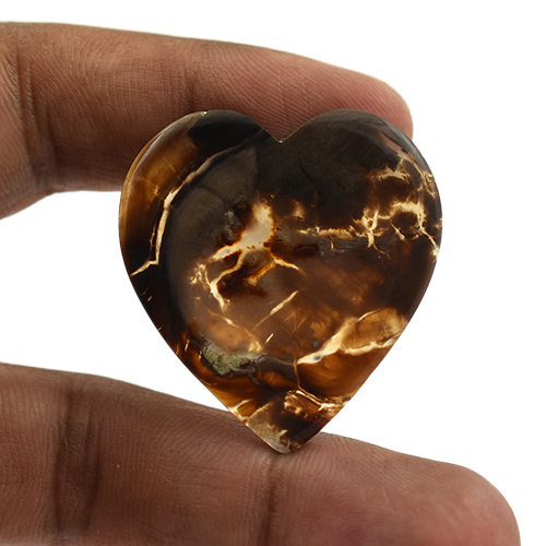 पेट्रिफ़ाइड लकड़ी का पत्थर