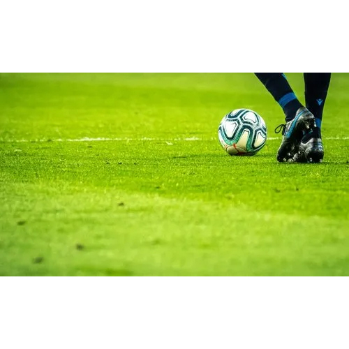 टिकाऊ फुटबॉल टर्फ आर्टिफिशियल ग्रास