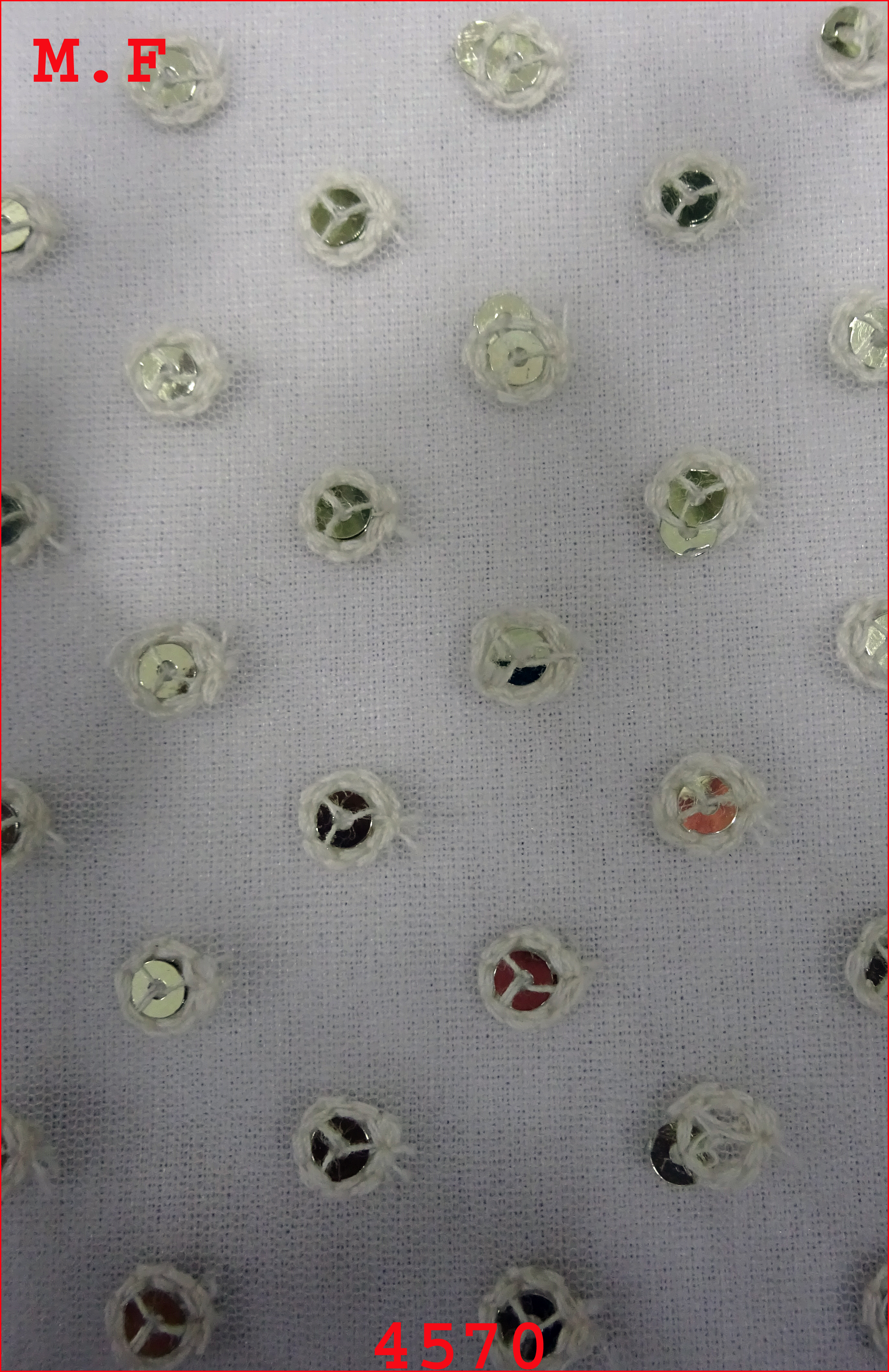White Ribbin  Daman  Fabric