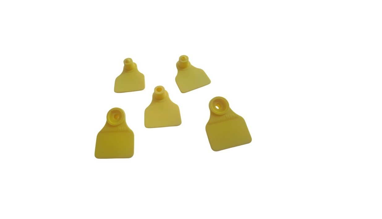 Plastic Ear Tag 42 X 50 Mm Medium - Application: Veterinary Purpose