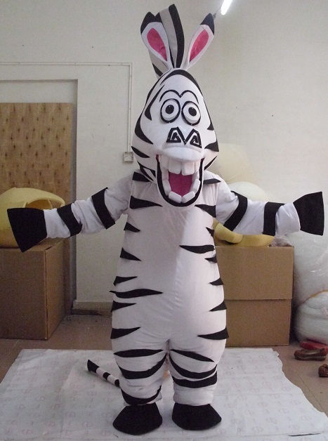 अनुकूलित वेशभूषा