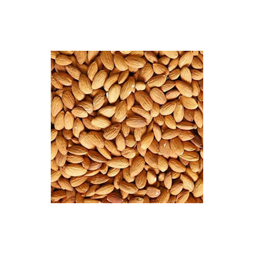 Almond Nuts - Dried Indian Almonds | Non-glutinous, Common Cultivation Type