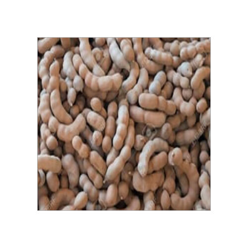 Fresh Natural Organic Tamarind