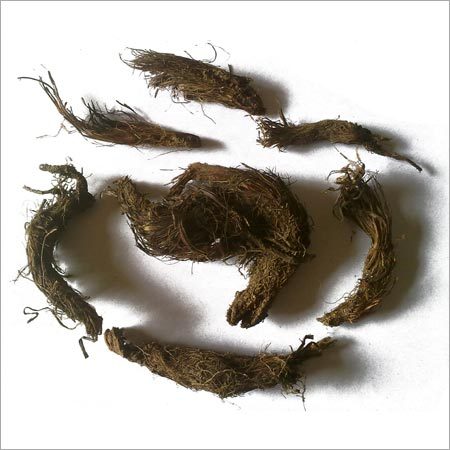 जतमांशी