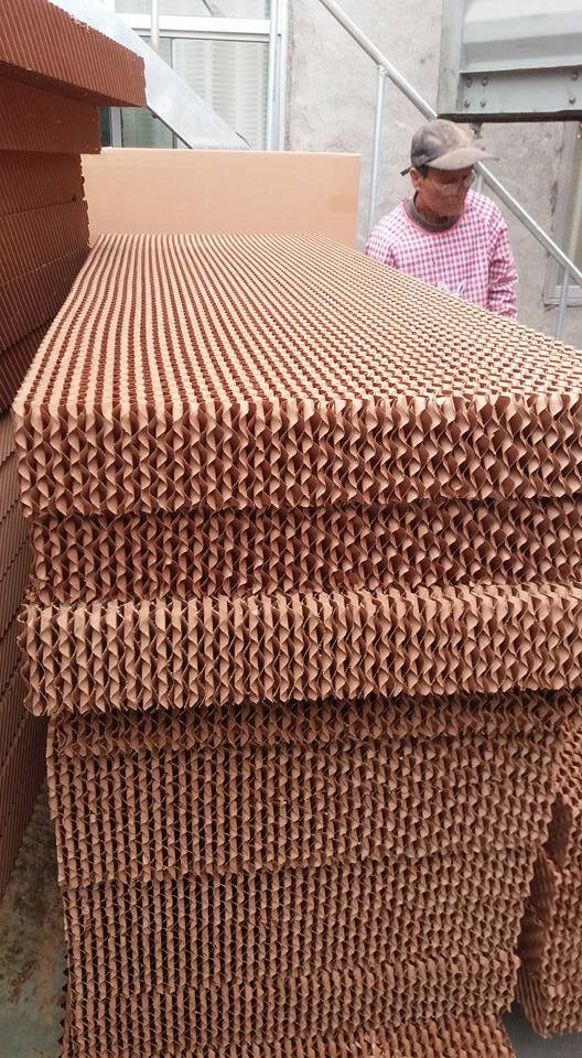Brown And Green Brown Evaporative Cooling Pad In Mathura Uttar Pradesh