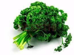 Parsley Leaves - Organic Dried and Fresh Stick Form | Hygienically Packed for Culinary Color and Texture Enhancements