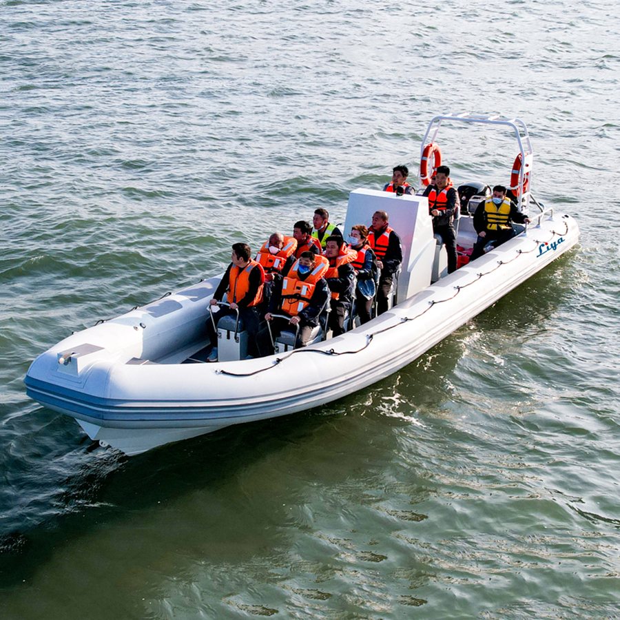 Liya 30feet Aluminum Rib Boat Capacity: 2000 Tons/year