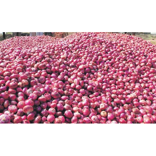Red Onion - Raw, Fresh | High-quality, Pesticide-free, Moisture-nil, Timely Delivery