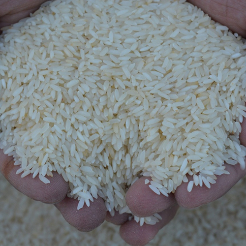 Basmati Rice - Medium Grain, High Purity | Non-sticky Fresh Rice With Sweet Buttery Flavor And Nutrient Retention
