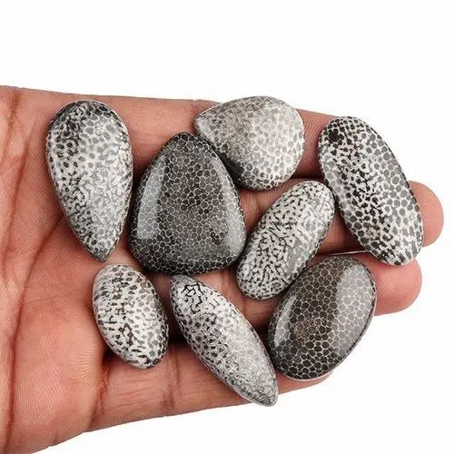 Natural Black Coral Cabochon Stone - Grade: Aaa