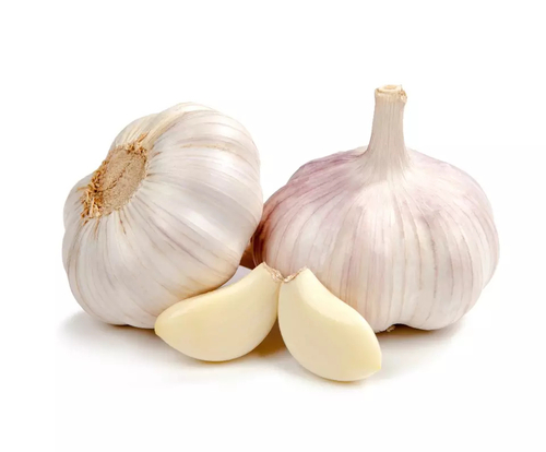 Garlic Fresh Shelf Life: 12 Months